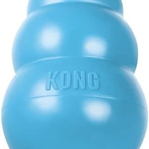 KONG - Puppy Toy Natural Teething Rubber - Fun to Chew, Chase & Fetch Blue/Pink - For Medium Puppies