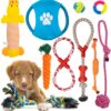 Fur & Bone 10 Pack Dog Chew Toys | Puppy Toys Dog Toys for Boredom | Indestructible Dog Toys with Rope Toys, Squeaky Toy | Dog Toy, Dog Teething Toys for Small & Medium Dogs | Dog