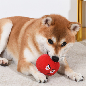 dog chew toy ball