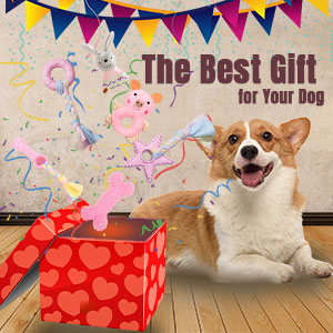 best dog gifts