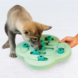 A puppy hunts for treats in its Nina Ottosson by Outward Hound Puppy Hide n' Slide.