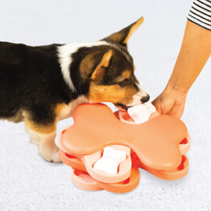 A puppy hunts for treats in its Nina Ottosson by Outward Hound Puppy Tornado.