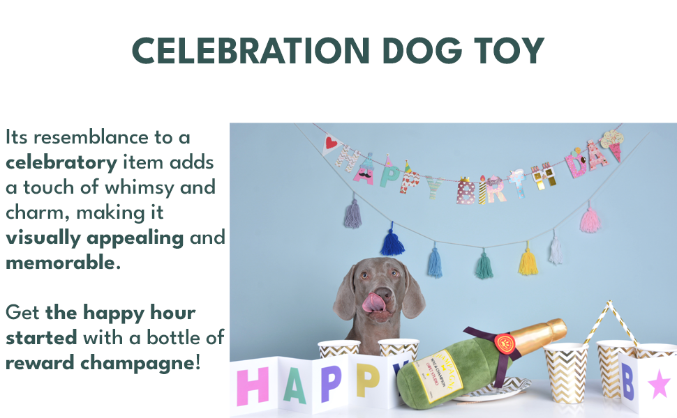 celebration dog toy