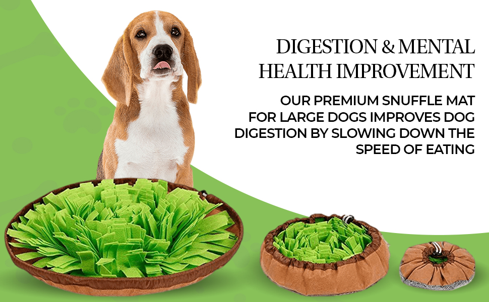 Snuffle Mat for Cats and Dogs, Mind Stimulation Game for Dogs and puppies, Puppy Feeding Mat