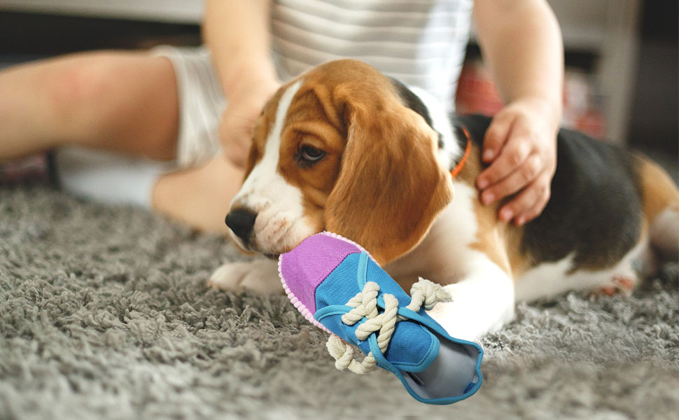  shoelace playing toy dog squeaky toy mini sneakers shoes toy for puppy