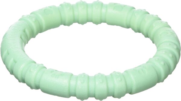 Rosewood large tough and durable chew and teething ring shaped dog toy for medium and large dogs made of tough nylon material, Mint flavoured and scented, Green, transparent