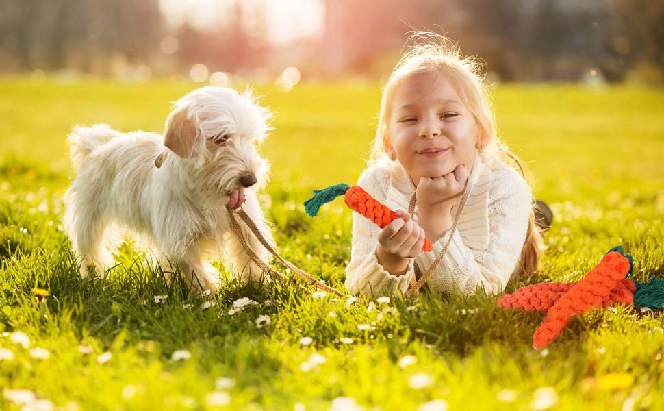 teething toys for puppies