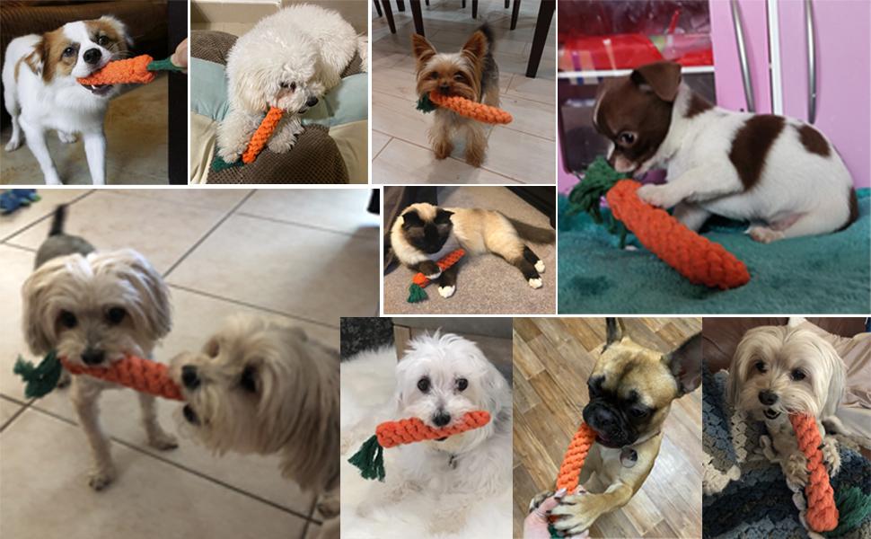 dog toys for puppies