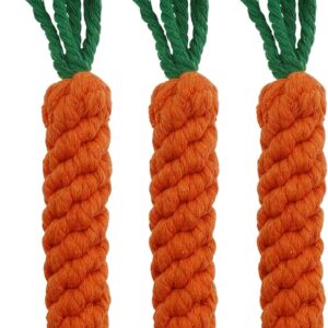 HESUILONG Carrot Dog Toys Puppy Teething Toys Dog Rope Toys Teething Toys for Puppies Cat Chew Toys Safe Braided Rabbit Toys Healthy Gift 3 PCS