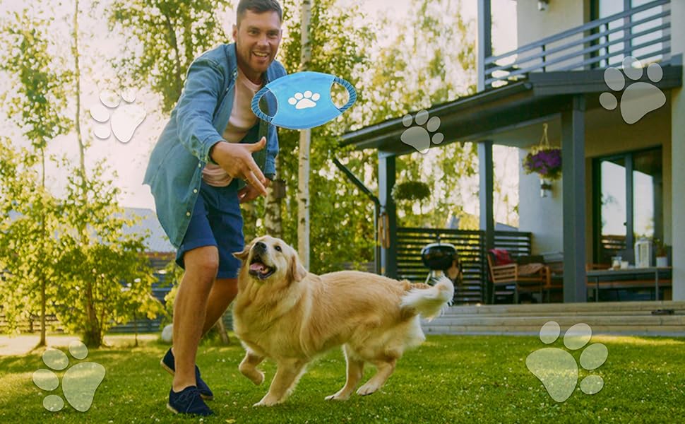 throwing a blue toy to a dog for entertainment