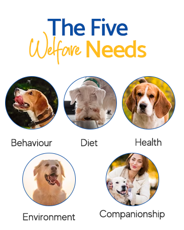 five welfare needs