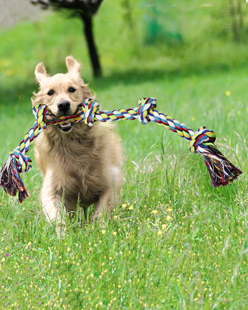 dog rope toy xxl puppy puzzle bed christmas birthday presents gifts set nylon bone ball enrichment