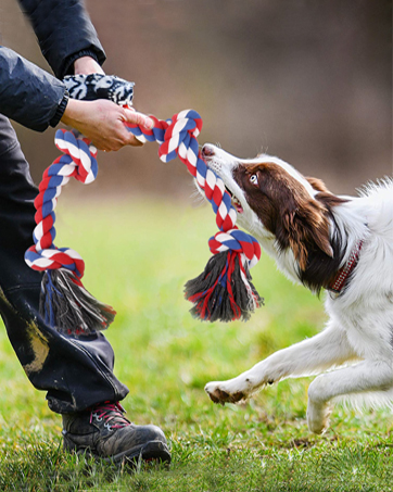 dog rope toy xxl puppy puzzle bed christmas birthday presents gifts set nylon bone ball enrichment