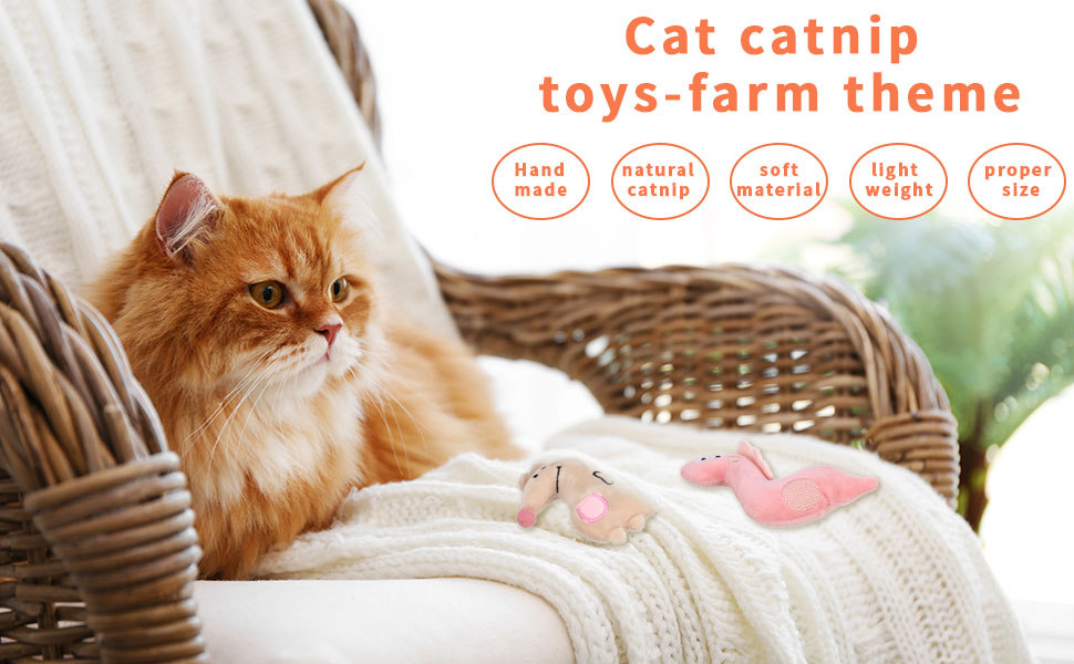 Cat Catnip Toys