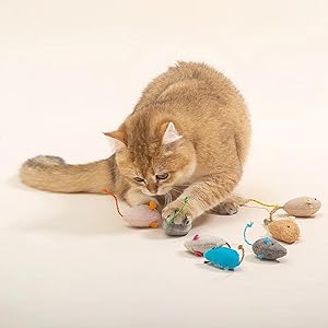 cat nip. toys