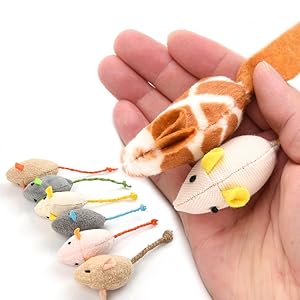 cat toys