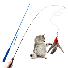 Cat Toys 1