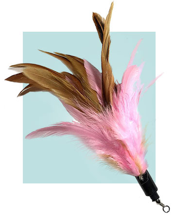 Cat Feather Toys