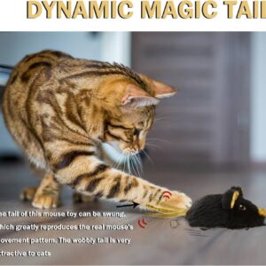 Pawsayes Interactive Cat Toys for Indoor Cats, Rechargeable Automatic Moving Mouse Cat Toy with Squeaky Sound, Smart Electric Mice Kitten Toys with Dynamic Magic Tail(Black)