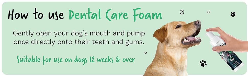 How to use Bugalugs Dental Care Foam