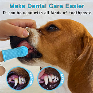 dog toothbrush