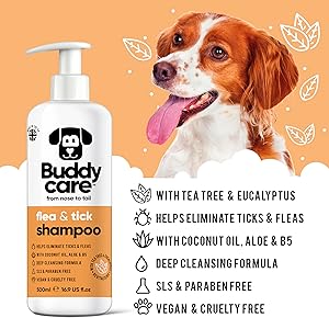 Buddycare