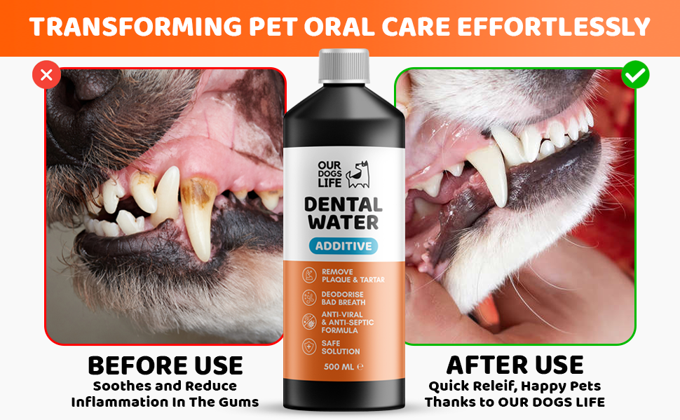 petlabo co ourdogslife dogslife water additive pet dental formula plaque tartar bad breath