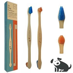 Medium to Large Bamboo Dog Toothbrush pack of 2