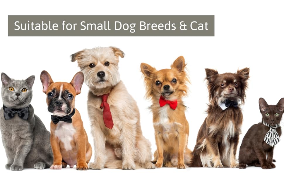 Suitable for Small Dog Breeds and Cats