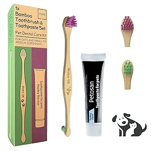 Pet Toothpaste and Pet Bamboo Toothbrush Set