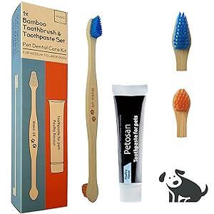 Pet Toothpaste and Toothbrush Kit