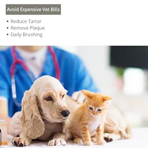 Avoid Expensive Vet Bills