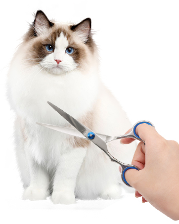 Pet scissors  