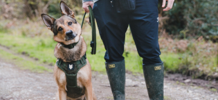 German Shepherd Fenrir Canine Leaders Harness