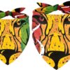 2 Pack Dog Bandana Lion Rasta Girl Boy Bibs Dog Scarf Kerchief Accessories for Small Medium Large Dogs Puppy Cat Pet
