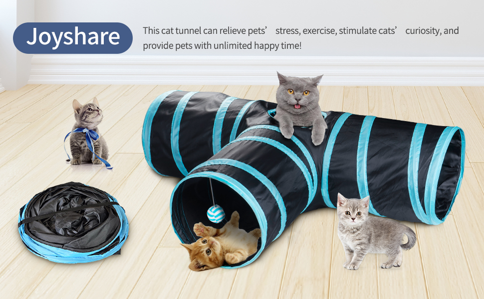 cat tunnel 