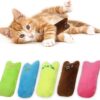 5pcs Kitten Toys For Indoor Cats, Colorful Kitten Teething Toys Cute Kitten Chew Toys with Crinkle Paper Soft Kitten Plush Toy Catnip Toys for Cats to Kick Balls And Play