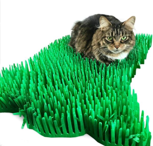 CATMAT. Tissue Paper Cat Mat. Green paper imitation grass play mat - fun for Cats and Kittens (pack of two)