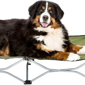 Carlson Pet Products The Portable Pup Pet Bed for Home, Large, Green