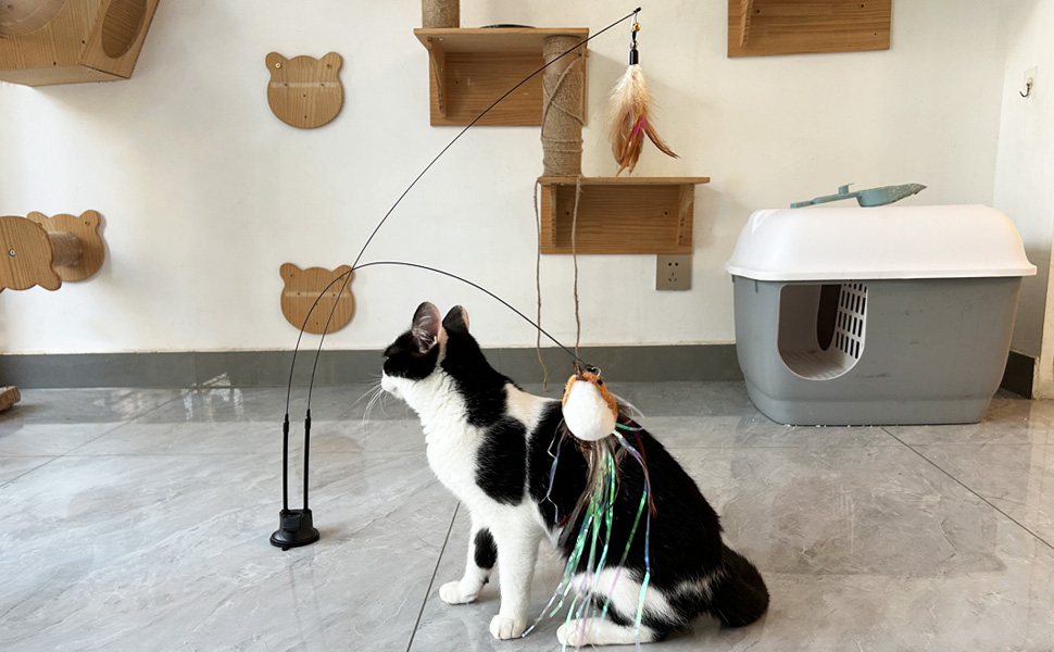 cat toy