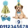 Dog Birthday Hat, Pet Birthday Hat Kit with Bow Tie Collar and Blue Number, Reusable Dog Cats Birthday Cap for Pet Puppy Cat Birthday Party Decorations, Pet Costumes Headwear Accessories (Blue)