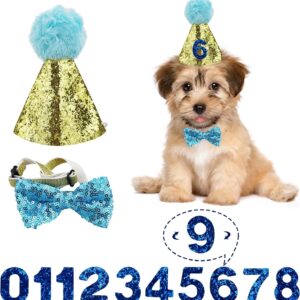 Dog Birthday Hat, Pet Birthday Hat Kit with Bow Tie Collar and Blue Number, Reusable Dog Cats Birthday Cap for Pet Puppy Cat Birthday Party Decorations, Pet Costumes Headwear Accessories (Blue)