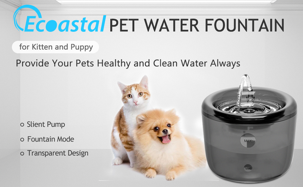 Ecoastal 2022 Newly Cat Water Fountain