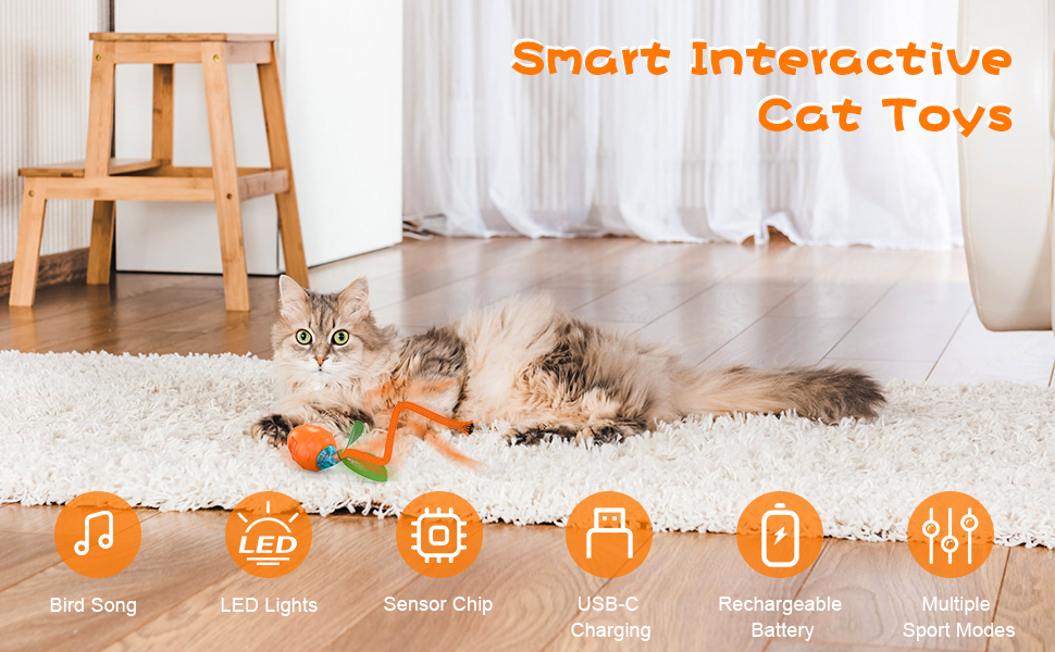 Interactive Cat Toy