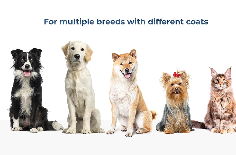 Dogs cats breeds coats 