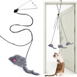 Kalimdor Interactive Cat Feather Toys,Retractable Teaser Toy ，Hanging Interactive Toys for Indoor Cats Kitten Play Chase Exercise, Kitten Mental Exercise Toys (1 Pack)