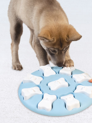 A puppy hunts for treats in its Nina Ottosson by Outward Hound puppy puzzle game.