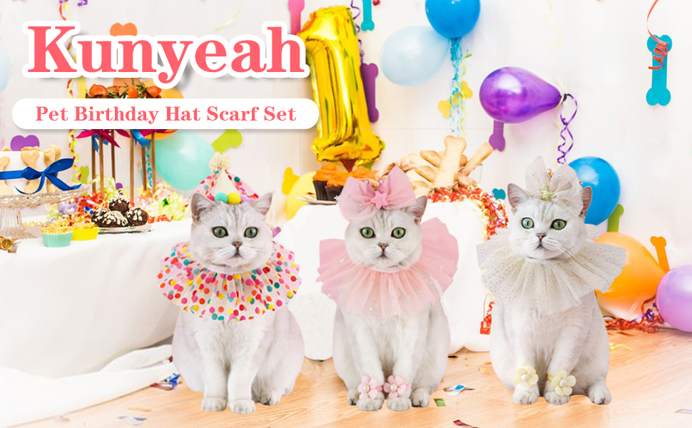 Pet Birthday Hat Scarf Set