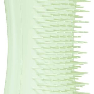 Pet Teezer, Pet Puppy Grooming Brush, Mint