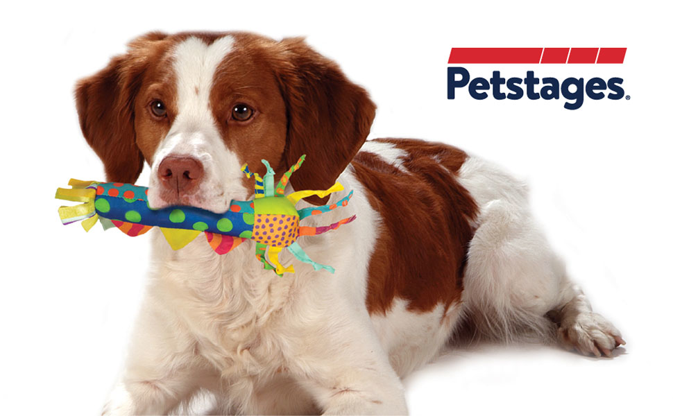 dog chewing on petstages dental and teething chew toys